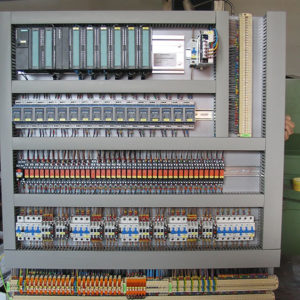 Surdulica,-slika-1