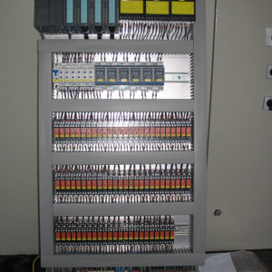 Surdulica,-slika-2